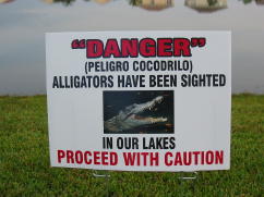 Alligator Sign