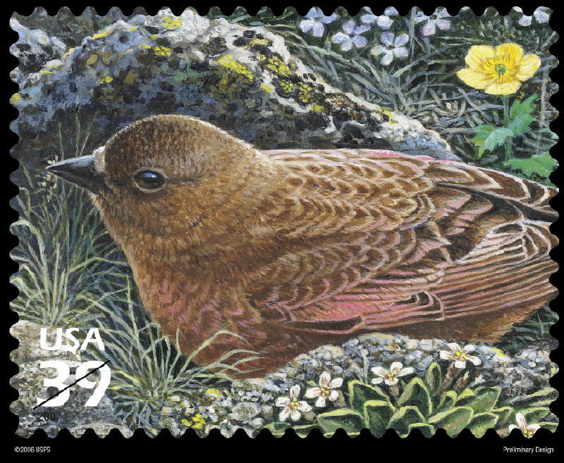 Brown-capped RF Stamp