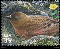 Brown-capped  Rosy-finch Postage Stamp