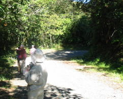 Along trail in Tapanti NP