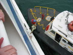 Pilot boards our ship
