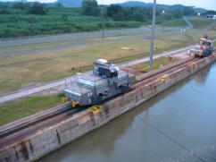 Mule locomotive