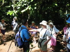 Plant demonstration on Mary Lou's arm