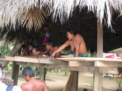 Home on stilts