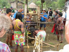 Extracting sugar from cane