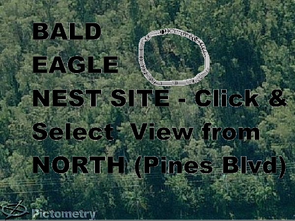 Eagle Nest from air