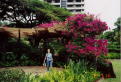 Hale Koa Hotel