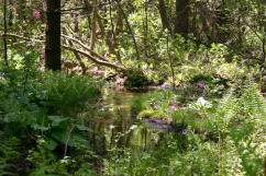 Leaming's Run Garden