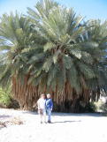 Along Rio Grande near Hot Spring