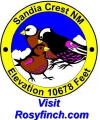 **3New Mexico RosyFinches