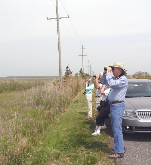 Schneiders birding in Tuckerton