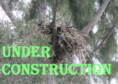 Under Construction