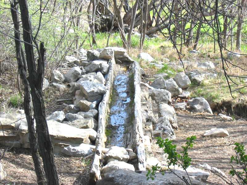 The Log at Capulin Spring