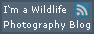 **8c Wildlife Photography Blog